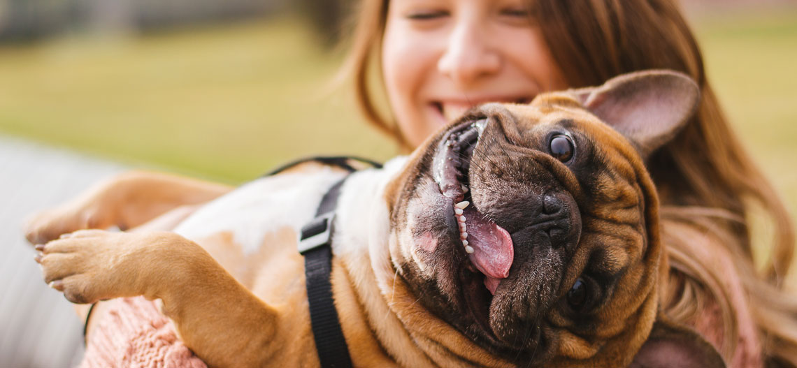 Six Things to Look For When Choosing Your Furry BFF’s CBD