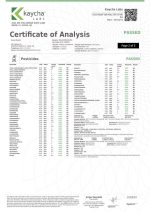 Green Roads | CBD Cream - 750mg Cooling Formula | Muscle & Joint Cool Relief Roll-On - Image 5