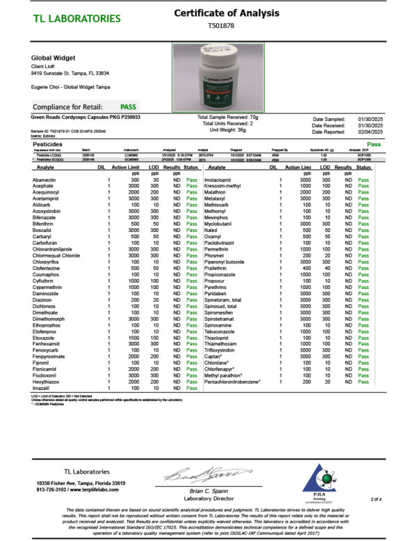 Green Roads | Nootropic Mushrooms Energy & Endurance Capsules | 500mg - 60 Count - Image 3