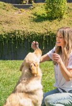 CBDfx | CBD Dog Tincture | 1000mg CBD 30mL - Image 3