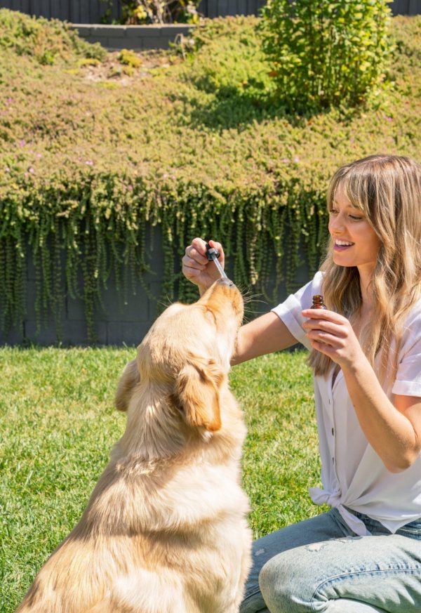 CBDfx | CBD Dog Tincture | 1000mg CBD 30mL - Image 3