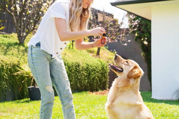 CBDfx | CBD Dog Tincture | 1000mg CBD 30mL - Image 2