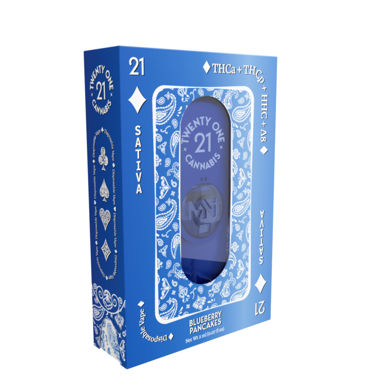 Blueberry Pancakes THC Vape Pen