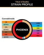 A chart of the active Cannabinoids in 3Chi THC Gummies - Phoenix