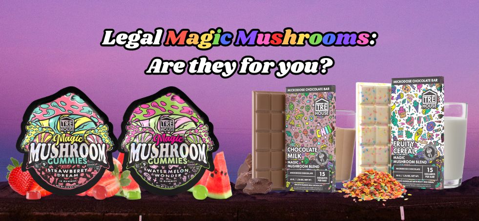 Magic Mushrooms: Are they for you?
