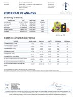 Lab Test Report - Page 5 for Grape Guava Punch THC Vape - Heavy Metals Test