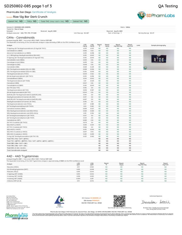 Rize | Dark Crunch Mushroom Chocolate Bar | Megasdose 12g Bar - Image 2