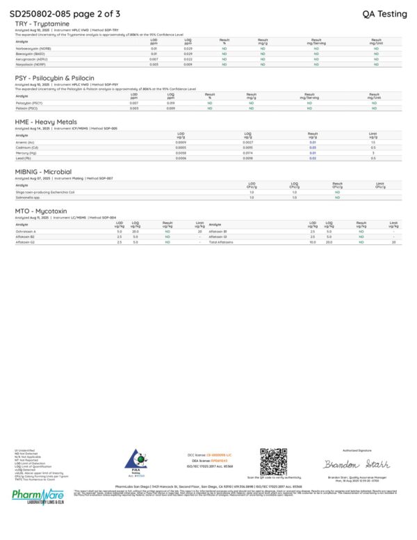 Rize | Dark Crunch Mushroom Chocolate Bar | Megasdose 12g Bar - Image 3