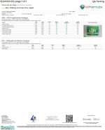 Front of Lab Test for Rize Sour Apple Mushroom Gummies displaying official lab results with branding and certification details