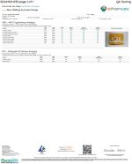 Front of Lab Test for Rize Mango Mushroom Gummies displaying official lab results with branding and certification details