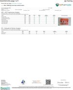 Front of Lab Test for Rize Watermelon Mushroom Gummies displaying official lab results with branding and certification details
