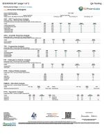 Front of Lab Test for High Potency Strawnana Mushroom Gummies displaying official lab results with branding and certification details