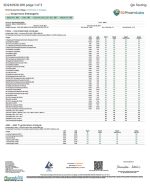 Wunder | Grape Mushroom Gummies with Kava | 1200mg Entheogenic Extract + 150mg Kava - 10ct - Image 4