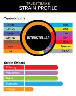 Visual breakdown of True Strains Interstellar THC Vape showing the exact cannabinoid content, including THC, CBD, and minor cannabinoids