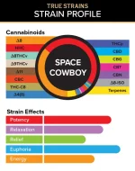 Visual breakdown of True Strains Space Cowboy THC Vape showing the exact cannabinoid content, including THC, CBD, and minor cannabinoids