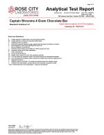 Captain Shroomz | Magic Blend Mushroom Chocolate | 4G - Belgian Chocolate - Image 2