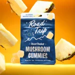Road Trip | Pineapple Mushroom Gummies  | Desert Stardust - High Potency Extract - 8ct - Image 2
