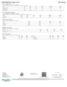 Rize | Sour Cola Mushroom Gummies | Megadose 7500mg - 15ct - Image 4