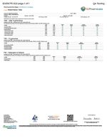 Wunder | Mushroom Tablets - Watermelon | Maxx Tablets -14,000mg - 1ct - Image 2