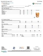 Road Trip | Microdosed Orange Mushroom Gummies  | Functional Mushrooms - Micro Dose - 20ct - Image 5