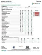 Rize | Wild Strawberry Mushroom Gummies | Megadose 7500mg - 15ct - Image 3