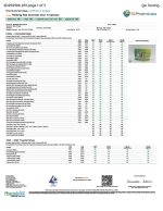Rize | Sour Tropicana Mushroom Gummies | Megadose 7500mg - 15ct - Image 3
