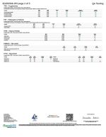 Rize | Sour Tropicana Mushroom Gummies | Megadose 7500mg - 15ct - Image 4