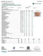 Rize | Sour Peach Mushroom Gummies | Megadose 7500mg - 15ct - Image 3