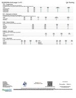 Rize | Sour Peach Mushroom Gummies | Megadose 7500mg - 15ct - Image 4