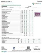 Rize | Sour Grape Mushroom Gummies | Megadose 7500mg - 15ct - Image 3