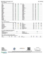 Rize | Caramel Crunch Mushroom Chocolate Bar | Megasdose 12g Bar - Image 4