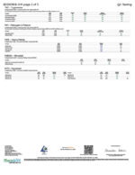 Rize | Puffed Crunch Mushroom Chocolate Bar | Megasdose 12g Bar - Image 3