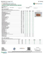 Rize | Caramel Crunch Mushroom Chocolate Bar | 5g Bar - Image 3