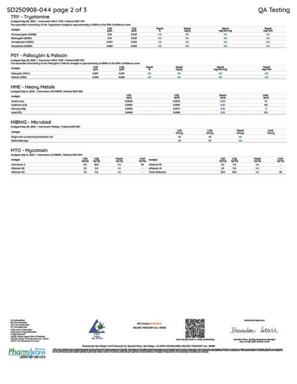 Rize | Caramel Crunch Mushroom Chocolate Bar | 5g Bar - Image 4