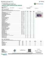 Rize | Puffed Crunch Mushroom Chocolate Bar | 5g Bar - Image 3