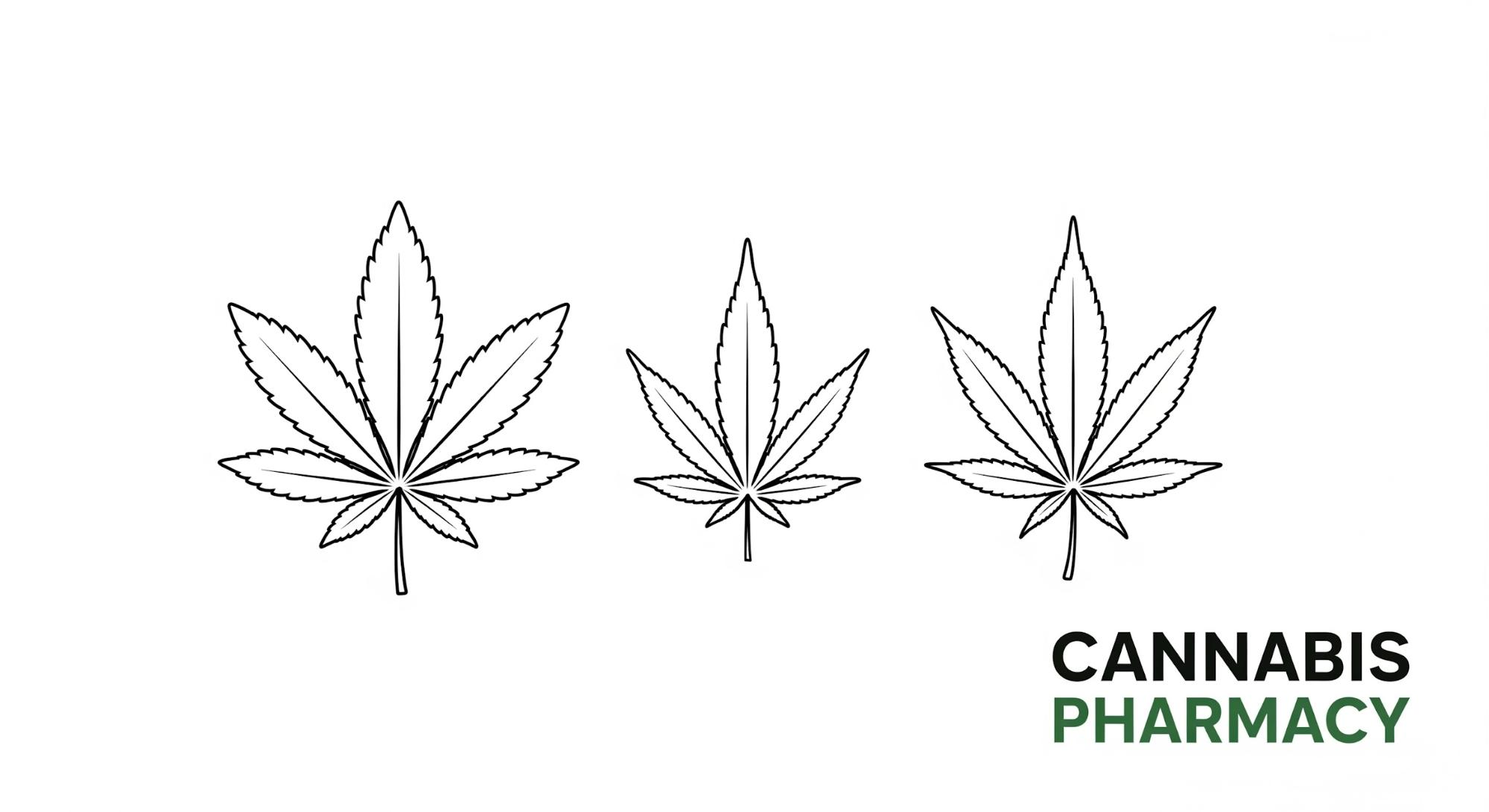 Why Are High-THCA Cultivars So Popular