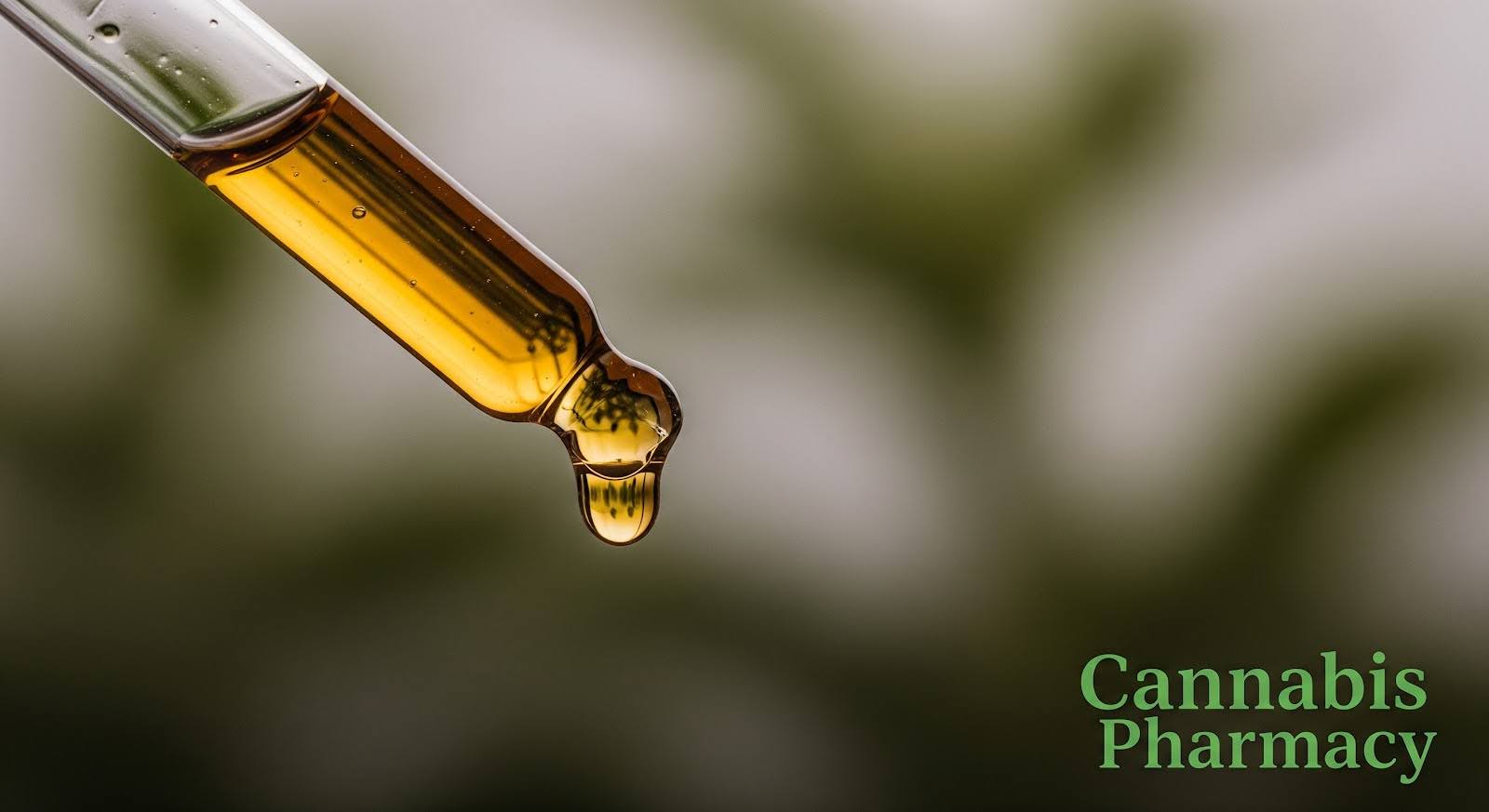 A close-up of a glass dropper filled with golden oil, with a single drop forming at the tip against a softly blurred natural green background. The text “Cannabis Pharmacy” appears in green at the bottom right, symbolizing natural CBD or cannabis oil.