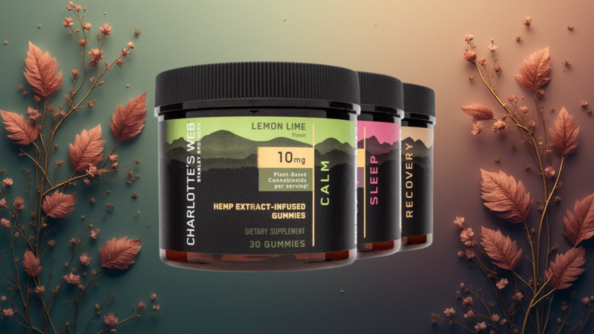 Three jars of Charlotte’s Web hemp extract–infused gummies labeled “Calm,” “Sleep,” and “Recovery,” displayed in a row against a softly lit gradient background with autumn leaves. The front jar shows the Lemon Lime “Calm” variety, containing 10 mg plant-based cannabinoids per serving.