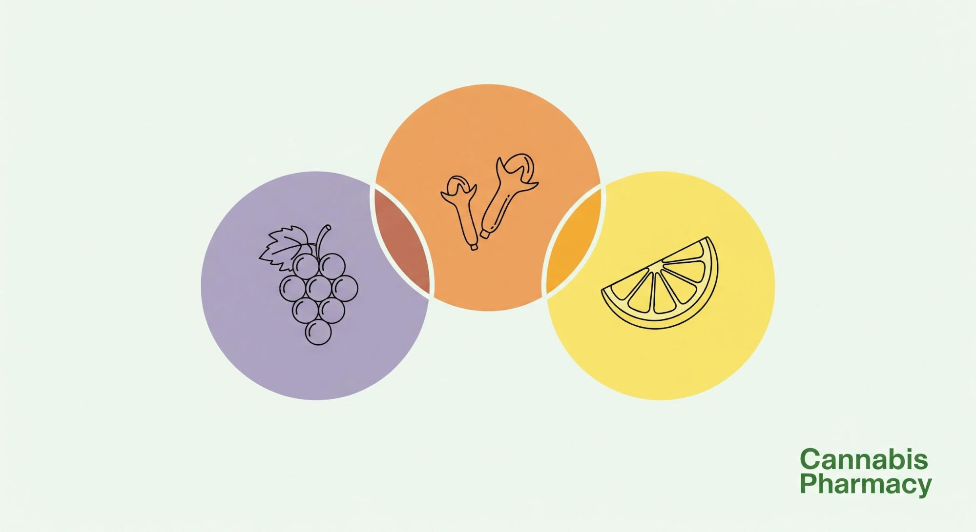 Aroma and Flavor Profile