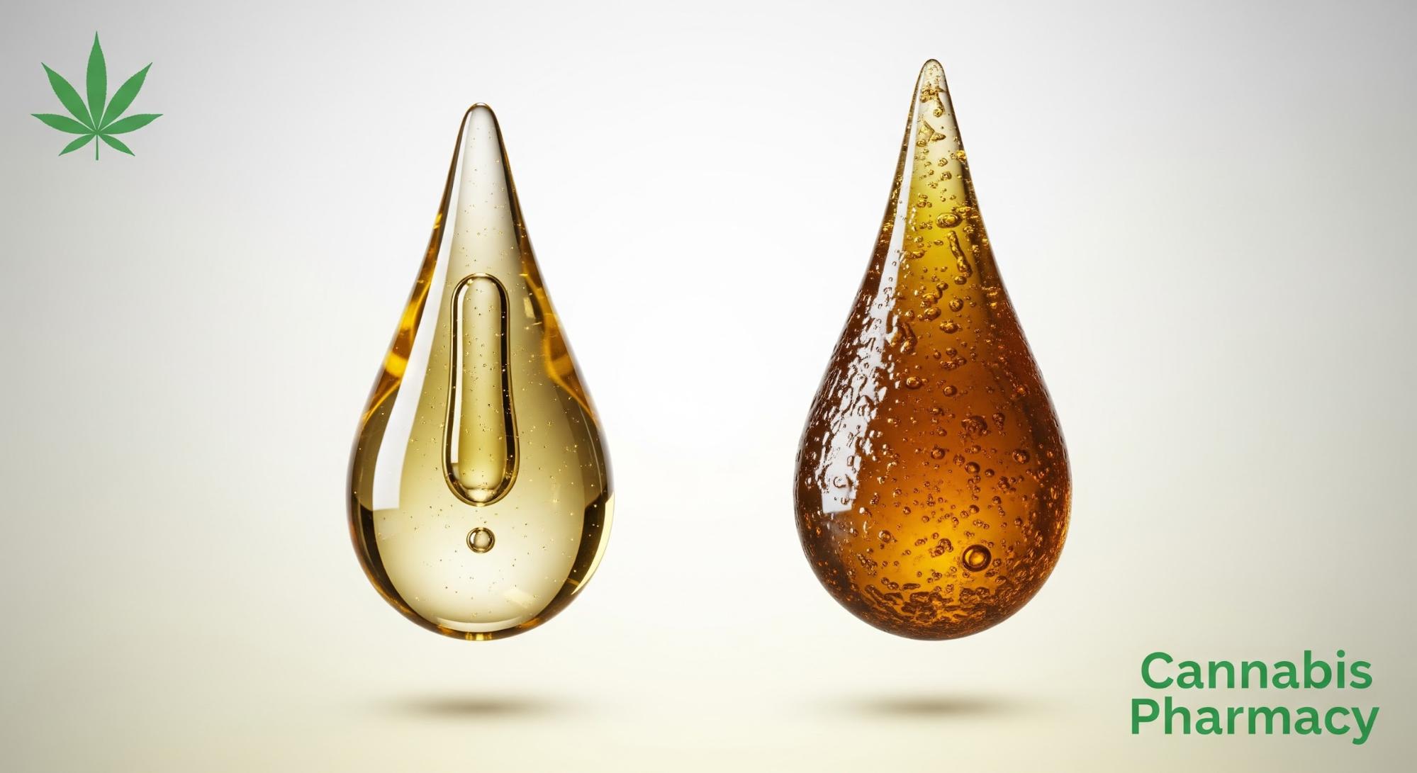 Exploring the Spectrum of Oils & Concentrates