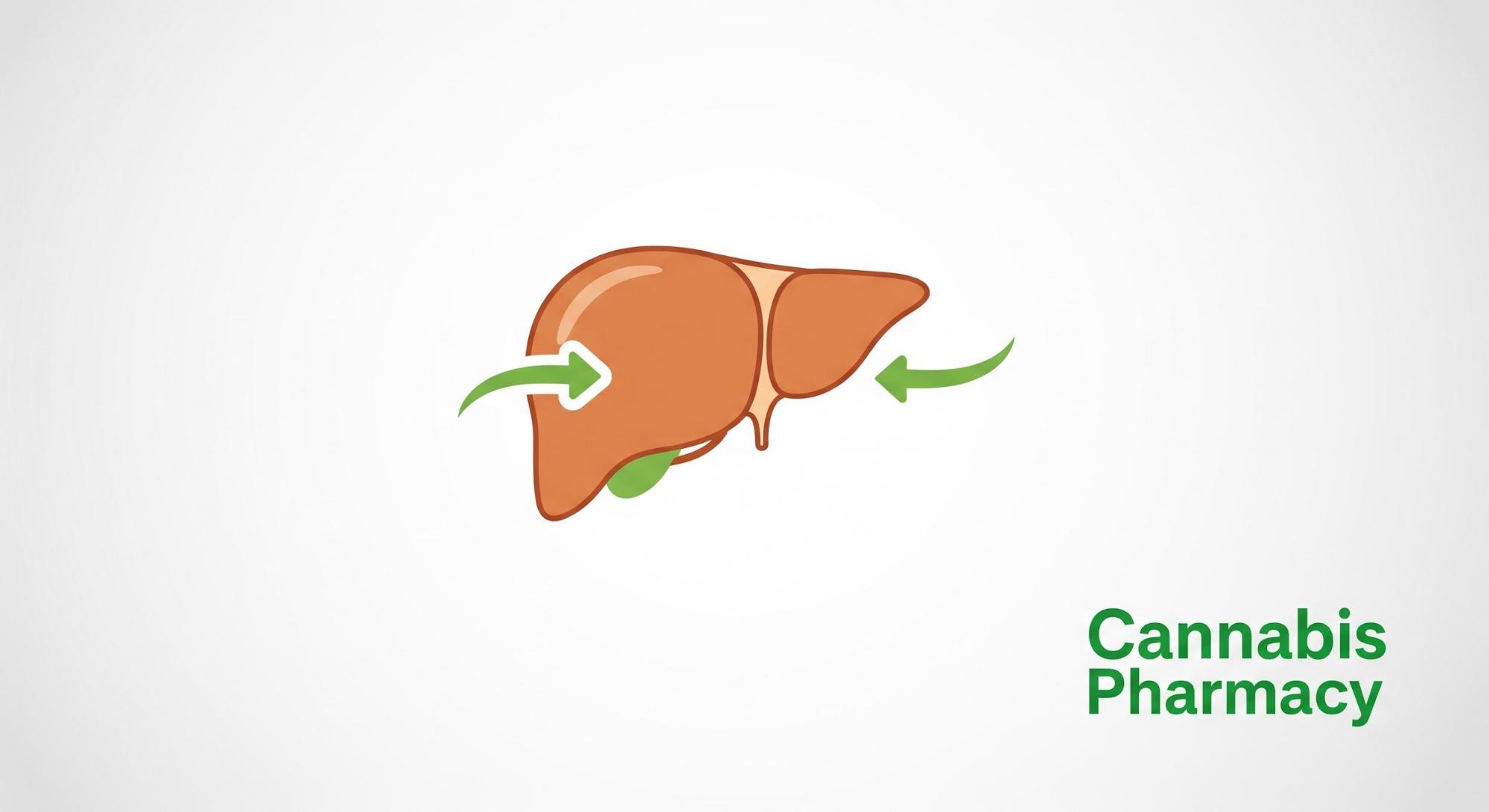 How Weed Syrup Works in the Body