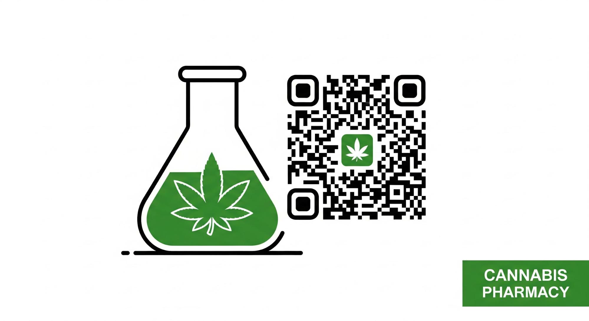 Safety & Common User-Reported Issues