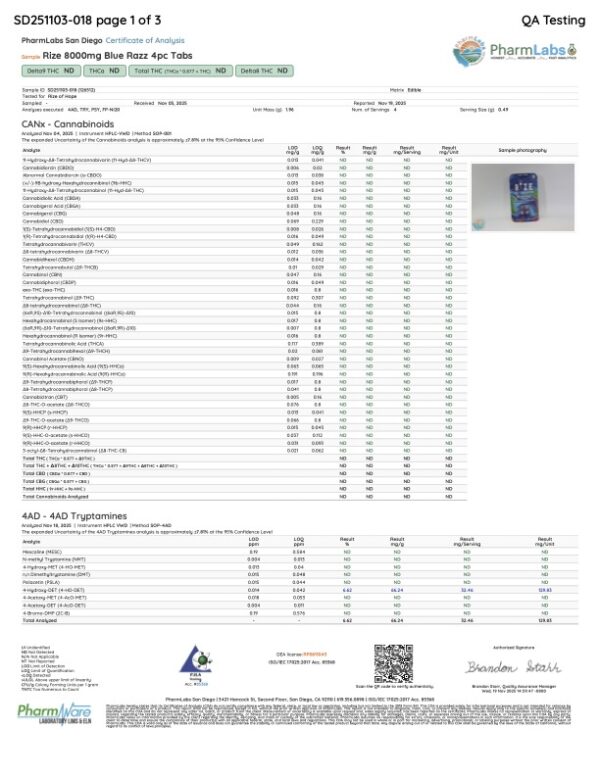 Rize | Blue Razz Party Tabs | 8000mg - 4pc - Image 2