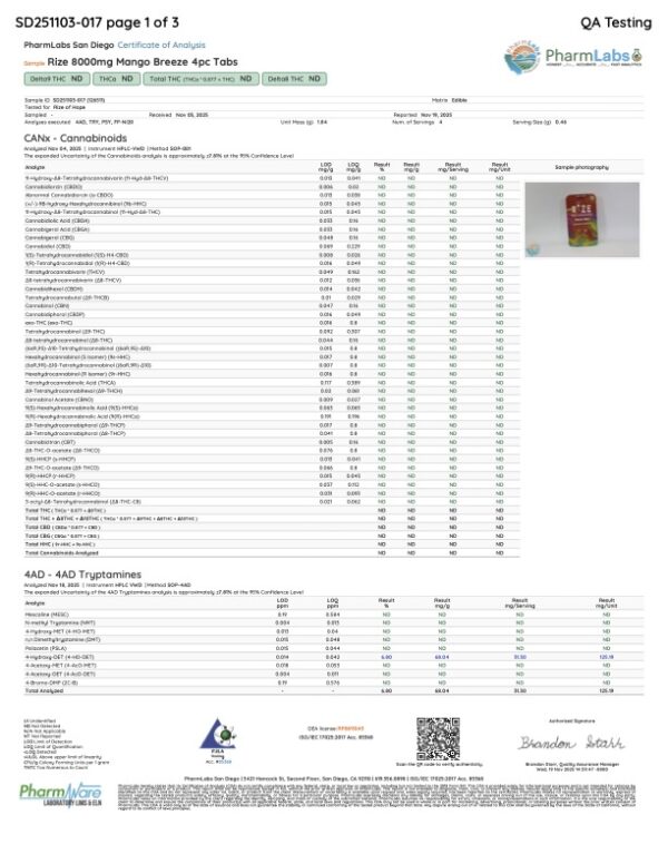 Rize | Mango Blaze Party Tabs | 8000mg - 4pc - Image 2