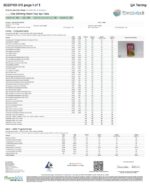 Rize | Melon Pop Party Tabs | 8000mg - 4pc - Image 2