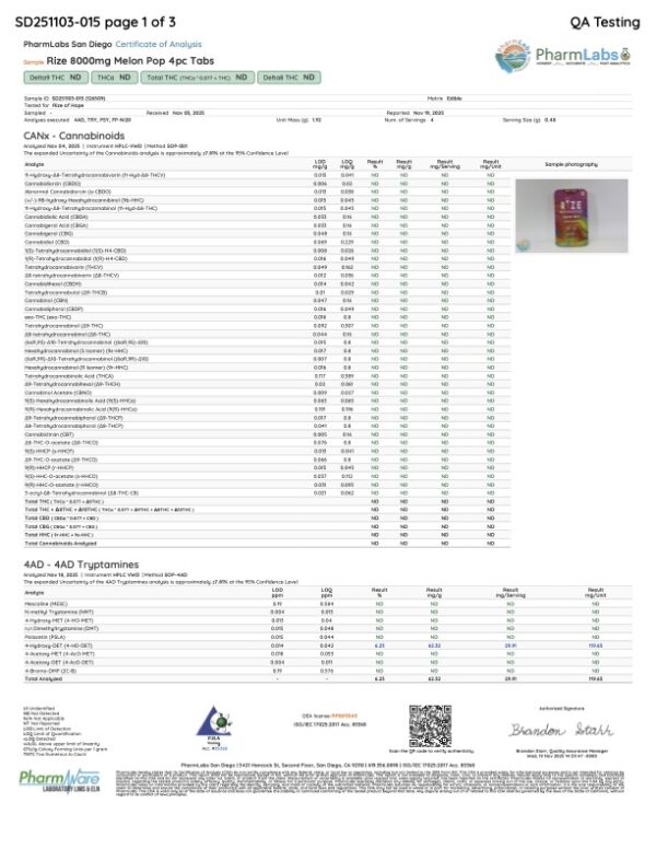 Rize | Melon Pop Party Tabs | 8000mg - 4pc - Image 2