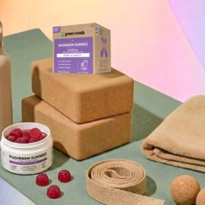 Key Takeaways: Are CBD Gummies Legal in India?