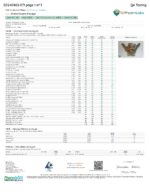 Shaka Sweets | Magic Mushroom + THC Gummies | Papaya - 8ct - Image 6