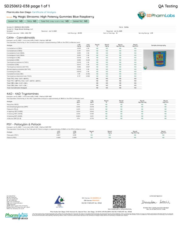 My Magic Shrooms | Blue Raspberry Mushroom Gummies | 10ct - Image 4