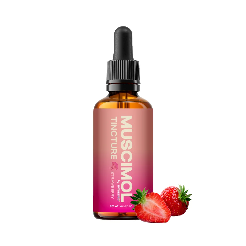 SMD_MUSCIMOL_STRAWBERRY-BOTTLE_MAIN_2.png SporesMD | Muscimol Tincture | Strawberry - 30ml - Image 1